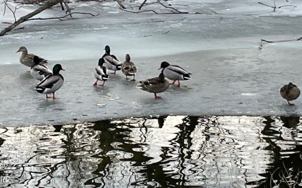 Climate Change: What does perception have to do with it? 