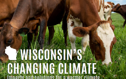 Talk the Talk: How Conversations Can be the Most Effective Tool Against Climate Change