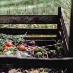 Compost bin