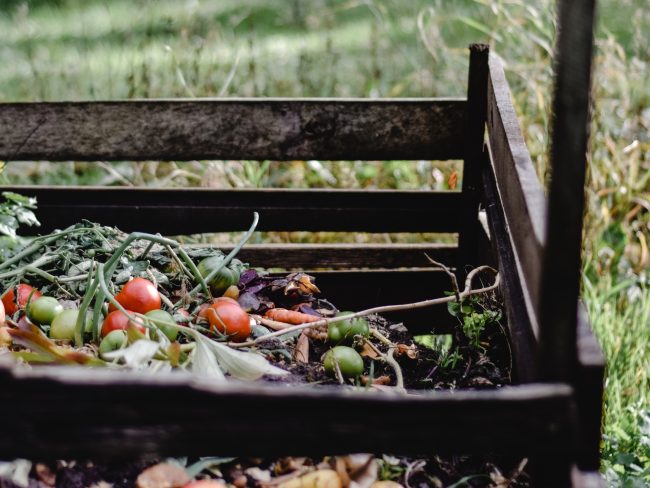 Compost bin