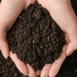 hands with soil