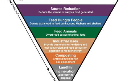 Food Waste & Composting