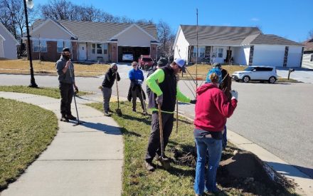 Tree Canopy – A Tool To Build Climate Resilience