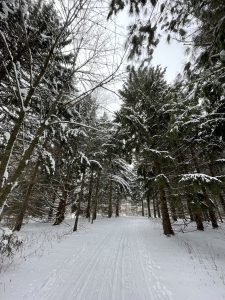 Outdoor, Active, and Healthy: A Mindset for Cross-Country Skiers During Warmer Winters