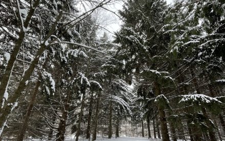 Outdoor, Active, and Healthy: A Mindset for Cross-Country Skiers During Warmer Winters