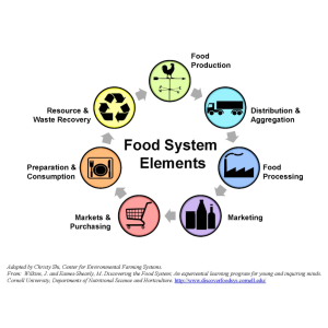 Community Food Systems – Extension Dane County