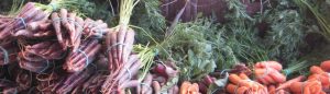 FOOD ACCESS RESOURCES