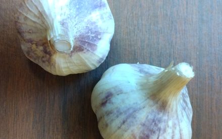 It’s Garlic Planting Time