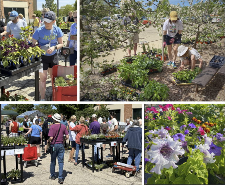 Dane County Master Gardener Plant Sale – Extension Dane County