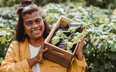 Advancing Racial & Social Equity in Wisconsin Farm to School: Strategies for Investing in Historically-Underserved Producers