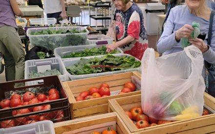 Pilot Project Brings Farmers Markets to Seniors: Improving Access to Fresh Produce