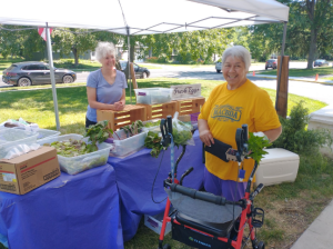 Expansion of a Senior Focused Food Access Program