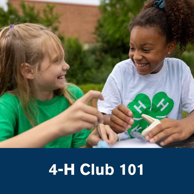 4-h club 101