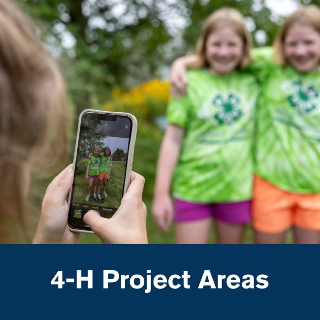 4-h project areas