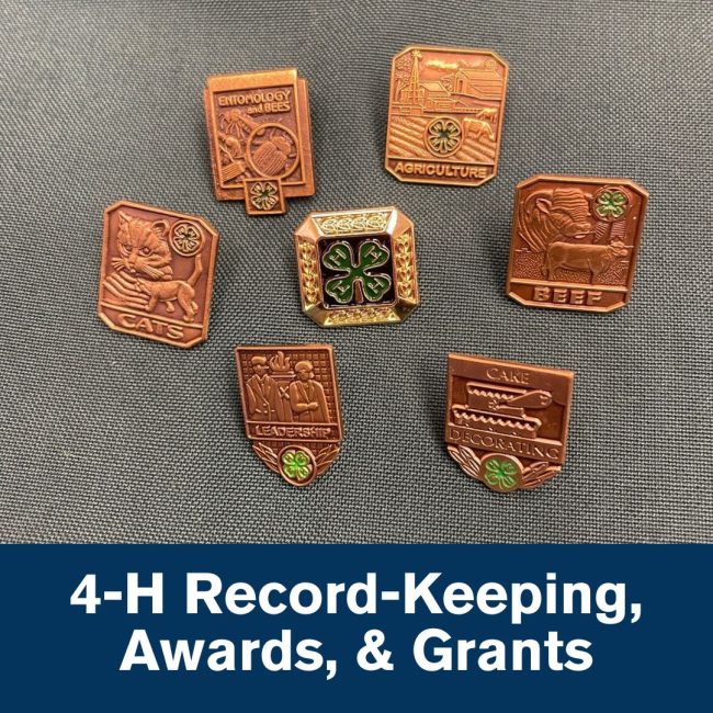4-h record-keeping, awards, and grants