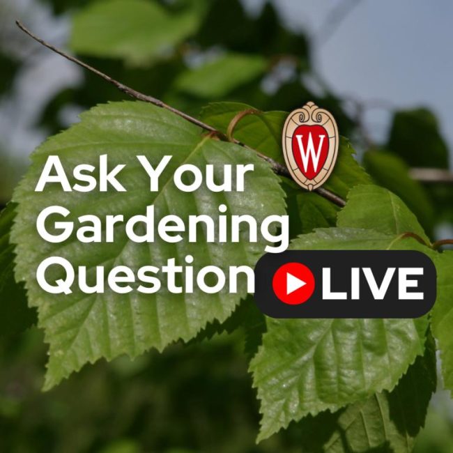 the words "ask your gardening question live" over leaves on a tree